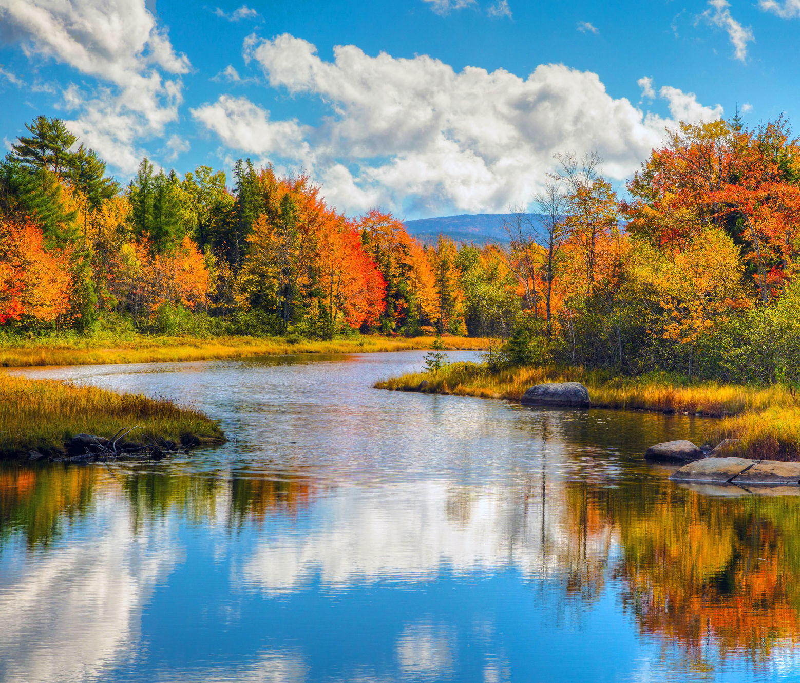 Changing Seasons